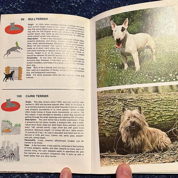 Identity dogs 320 Breeds - Picture 11 of 13